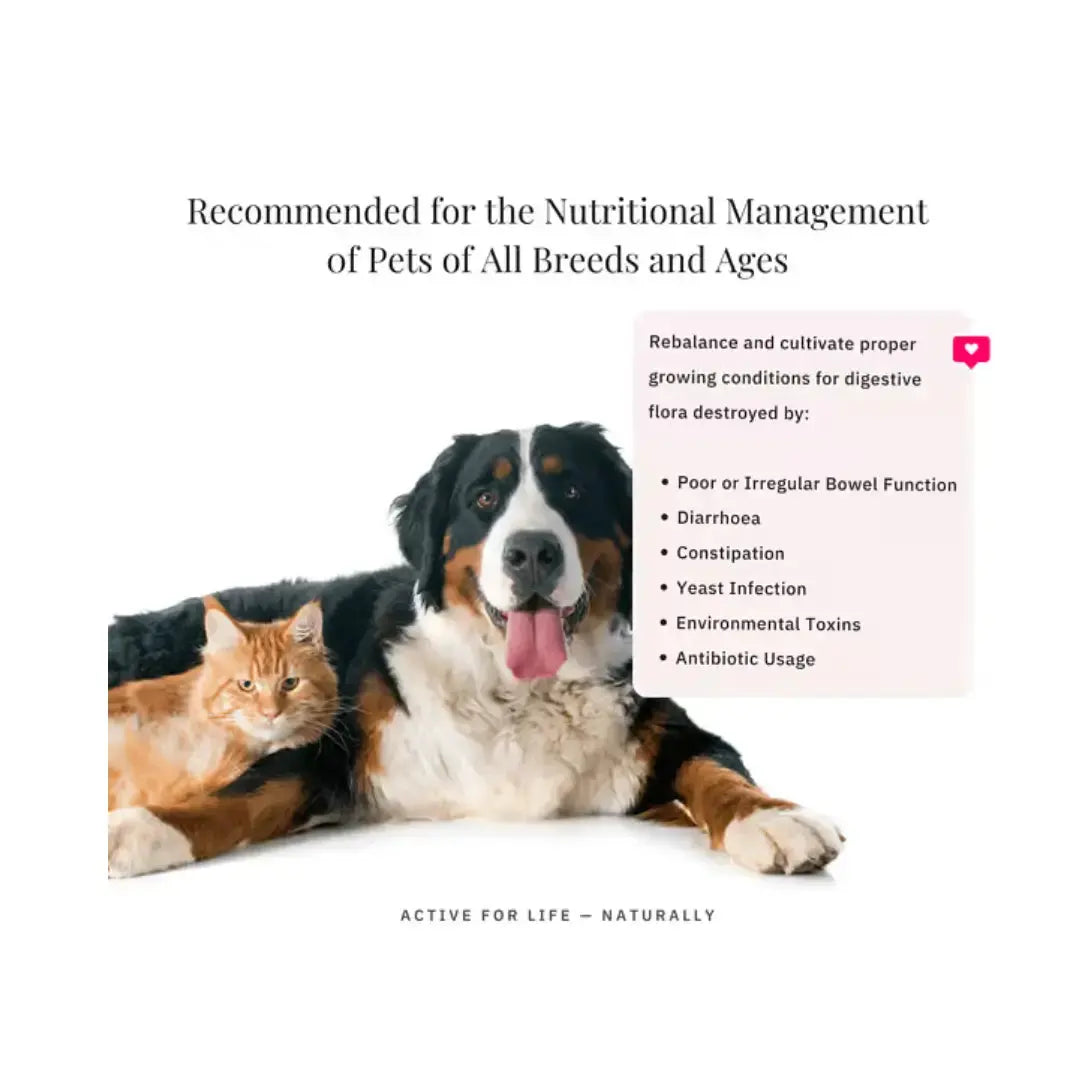 Nutriflex Digestimax Digestive Care for Dogs and Cats   | Canine & Co