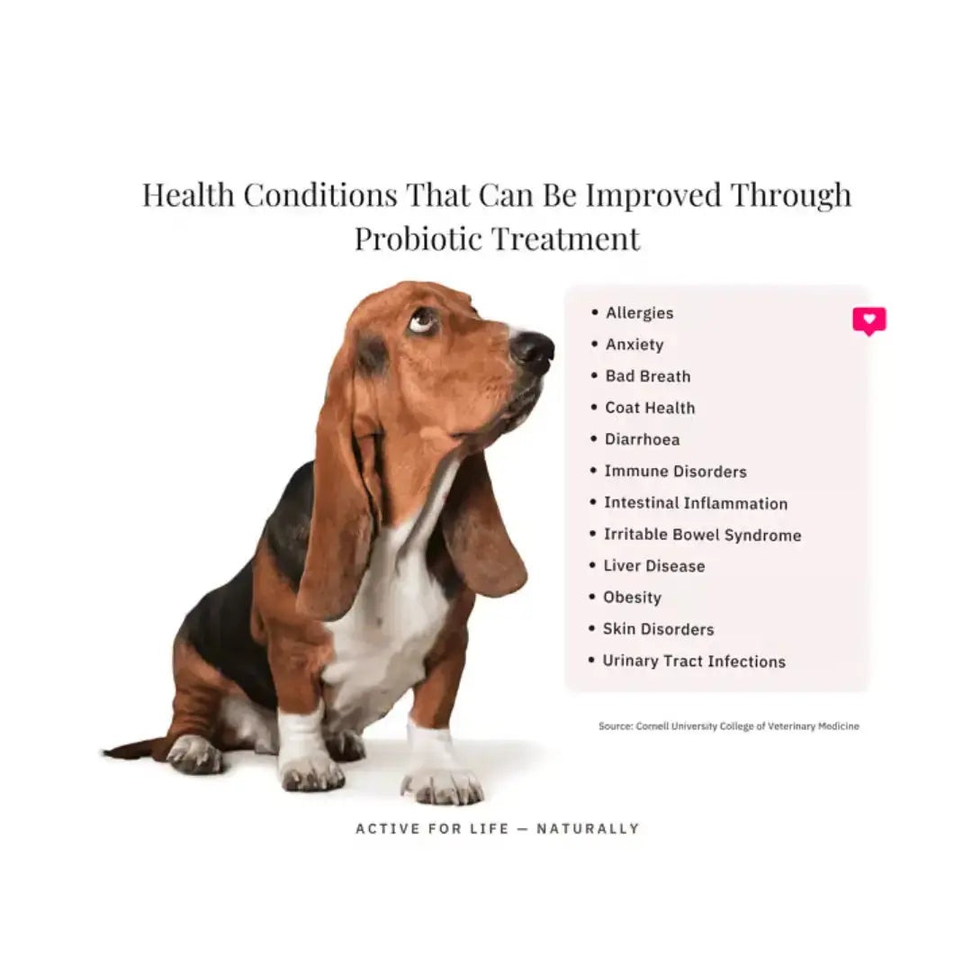 Nutriflex Digestimax Digestive Care for Dogs and Cats   | Canine & Co