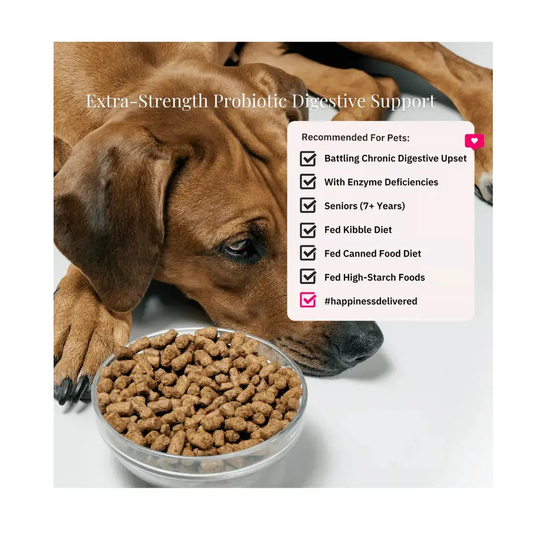 Nutriflex Digestimax Digestive Care for Dogs and Cats   | Canine & Co