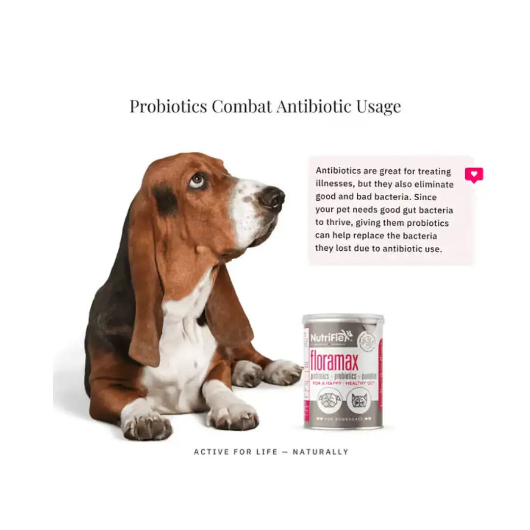 Nutriflex Floramax Probiotic for Dogs and Cats   | Canine & Co