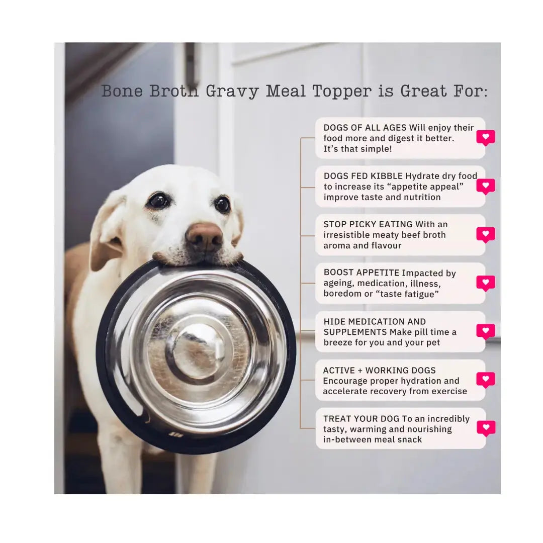 Nutriflex Gravy Meal Topper - Beef Bone Broth   | Canine & Co