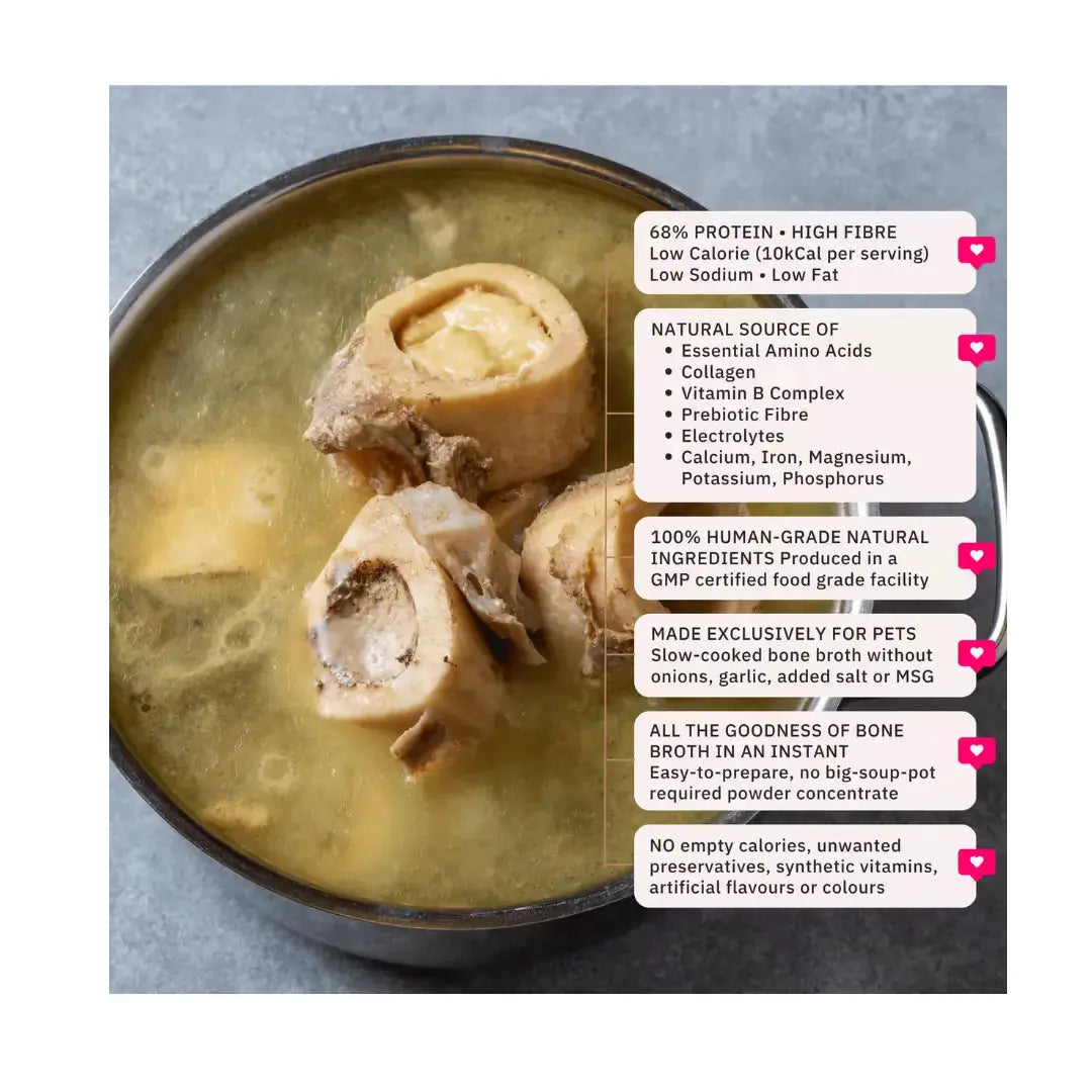 Nutriflex Gravy Meal Topper - Beef Bone Broth   | Canine & Co