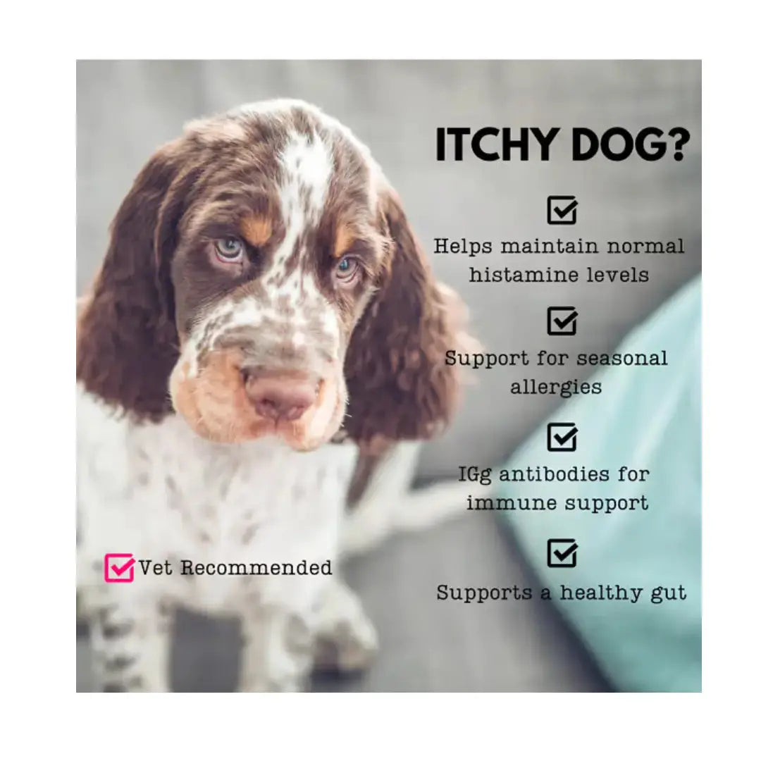 Nutriflex Immunimax For Dogs and Cats   | Canine & Co
