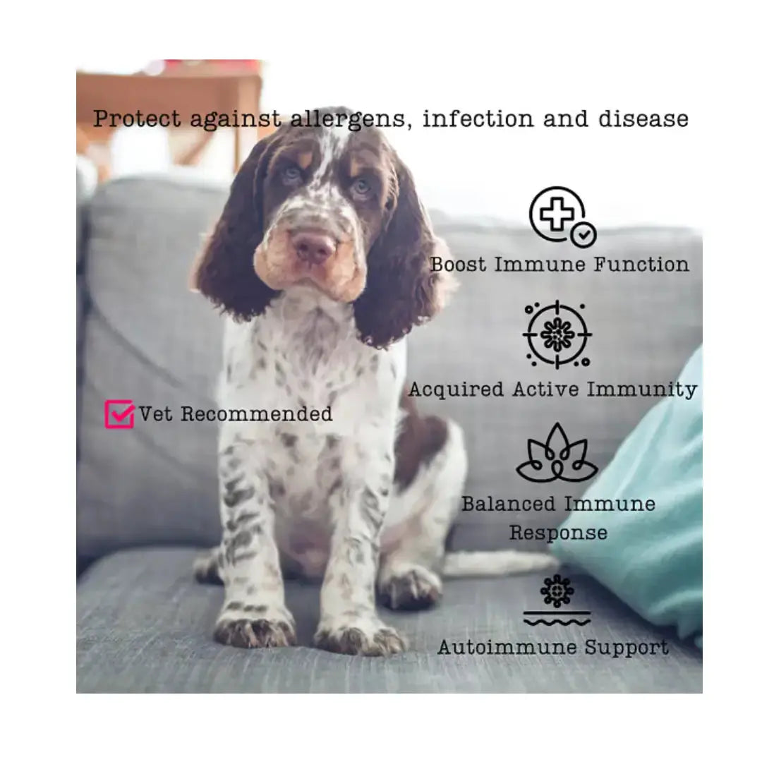 Nutriflex Immunimax For Dogs and Cats   | Canine & Co
