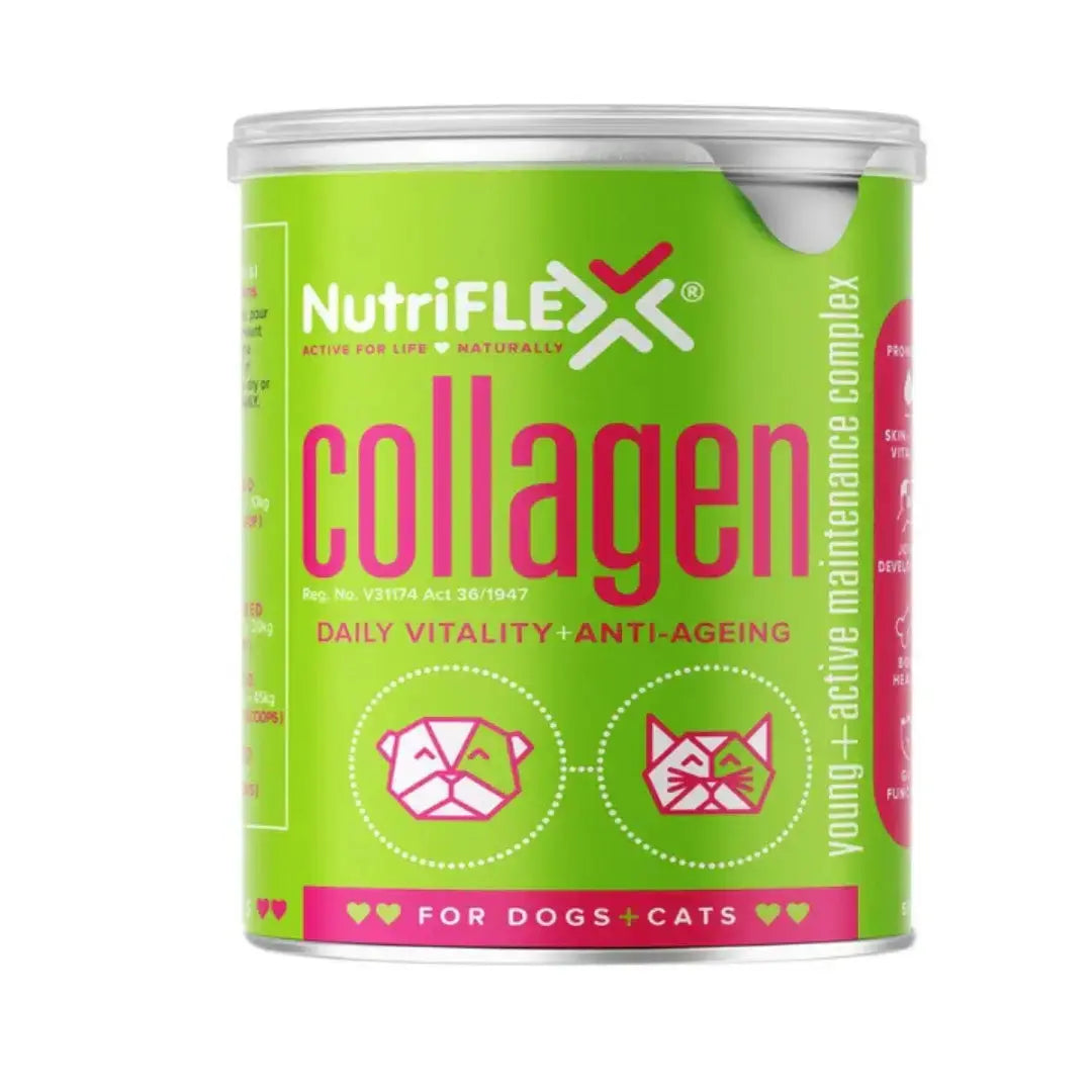 Nutriflex Maintenance Collagen for Dogs and Cats   | Canine & Co