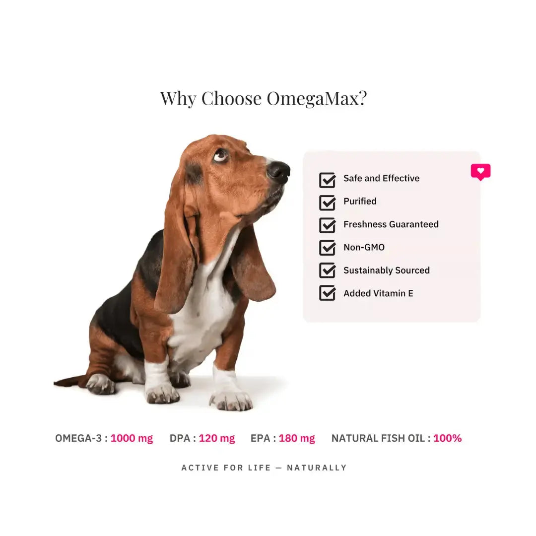 Nutriflex Omegamax For Dogs & Cats   | Canine & Co