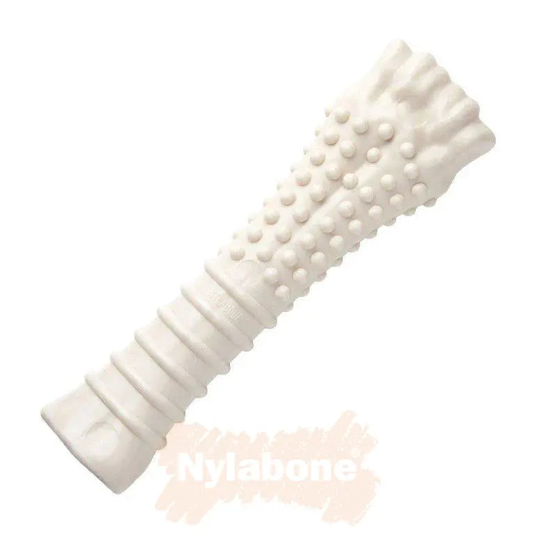 Durable Nylabone chew toy for dogs, designed for dental health and playtime fun.