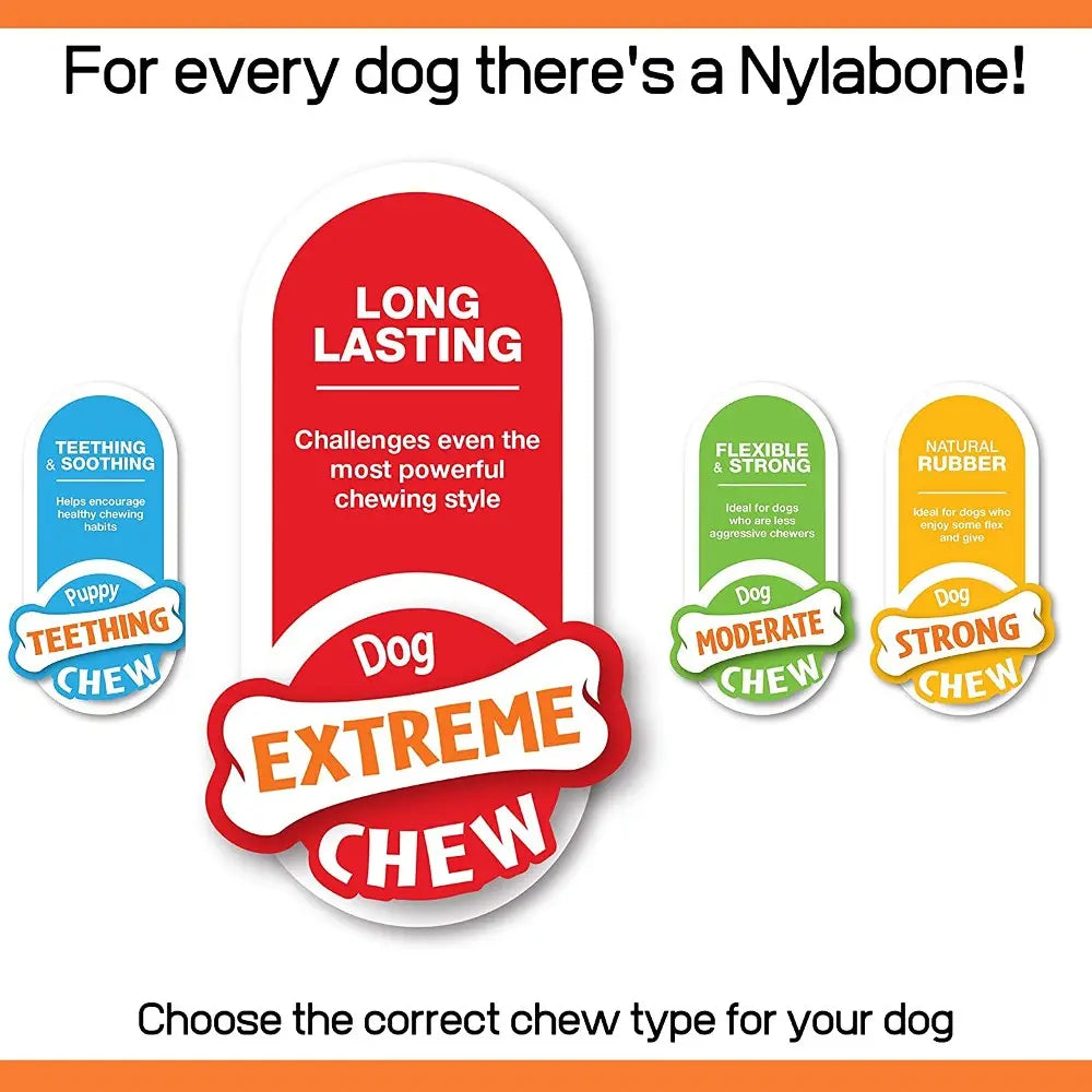 Nylabone chew guide highlighting options for different dog chewing styles and needs.