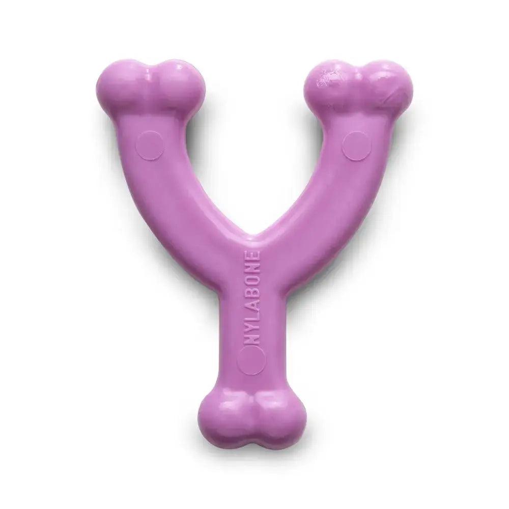 Purple Y-shaped dog chew toy designed for playful chewing and dental health.