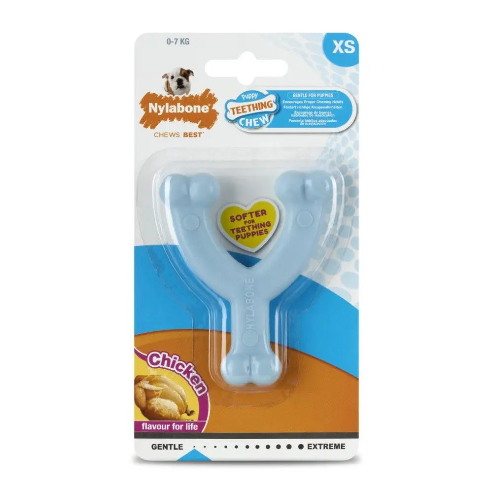 Nylabone puppy teething chew toy in blue, designed for gentle chewing and flavored with chicken.