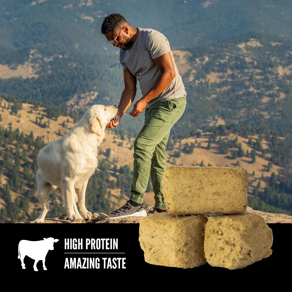 Man feeding a dog high-protein treats outdoors with a scenic mountain backdrop.