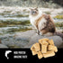 Orijen Six Fish Freeze-Dried Cat Treats