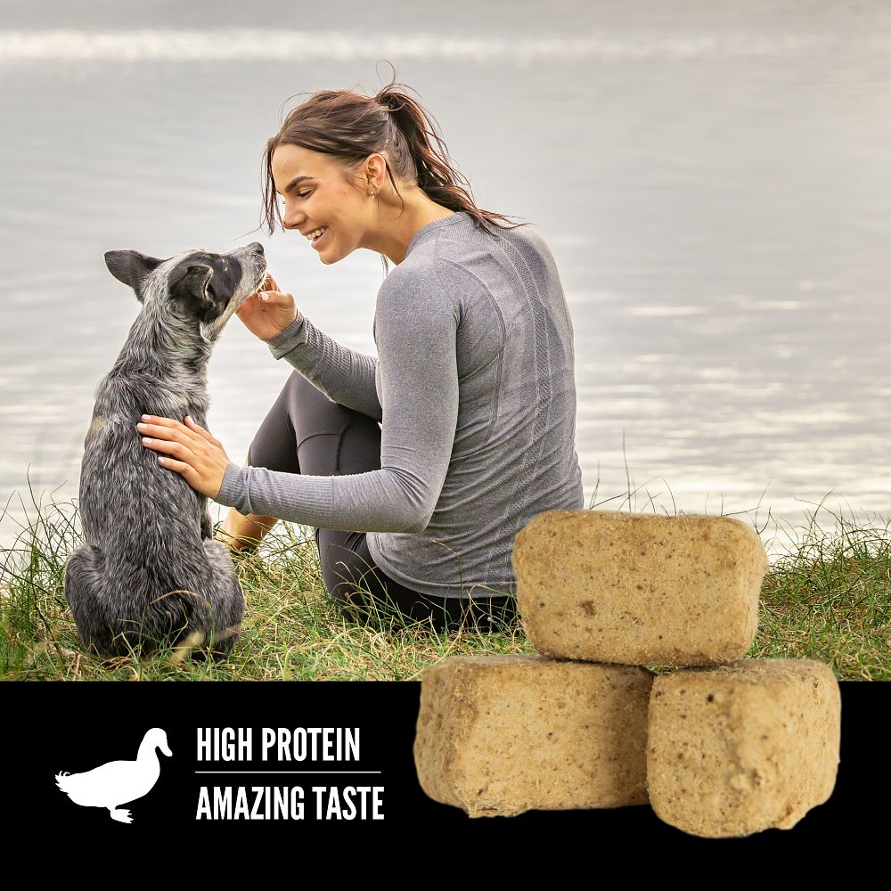 Orijen Free-Run Duck Freeze-Dried Dog Treats – lifestyle image (Canine & Co (South Africa))