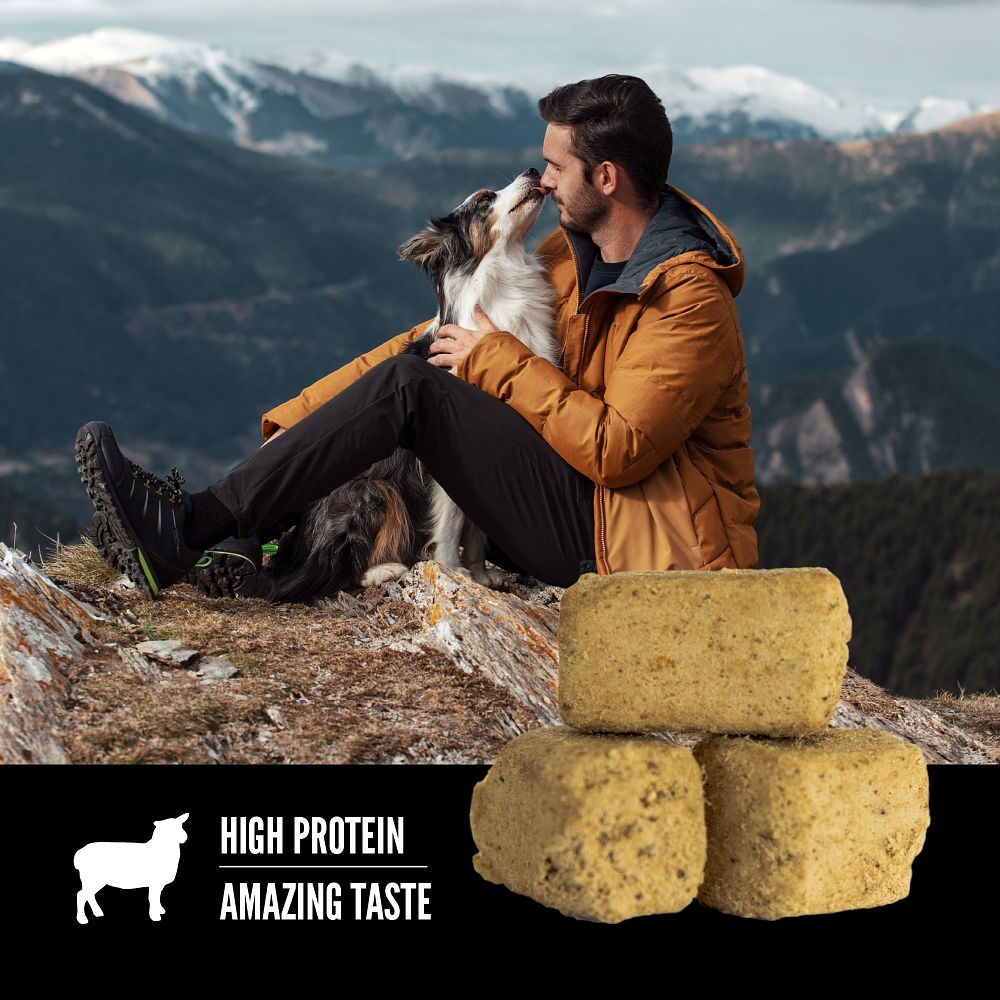 Orijen Grass Fed Lamb Freeze-Dried Dog Treats – lifestyle image (Canine & Co (South Africa))