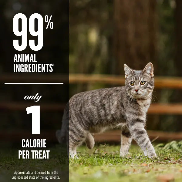Gray tabby cat outdoors with text highlighting 99% animal ingredients and only 1 calorie per treat.