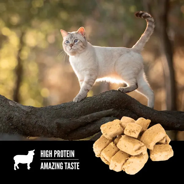 Cat on a tree branch with high-protein food pieces in the foreground, showcasing amazing taste.