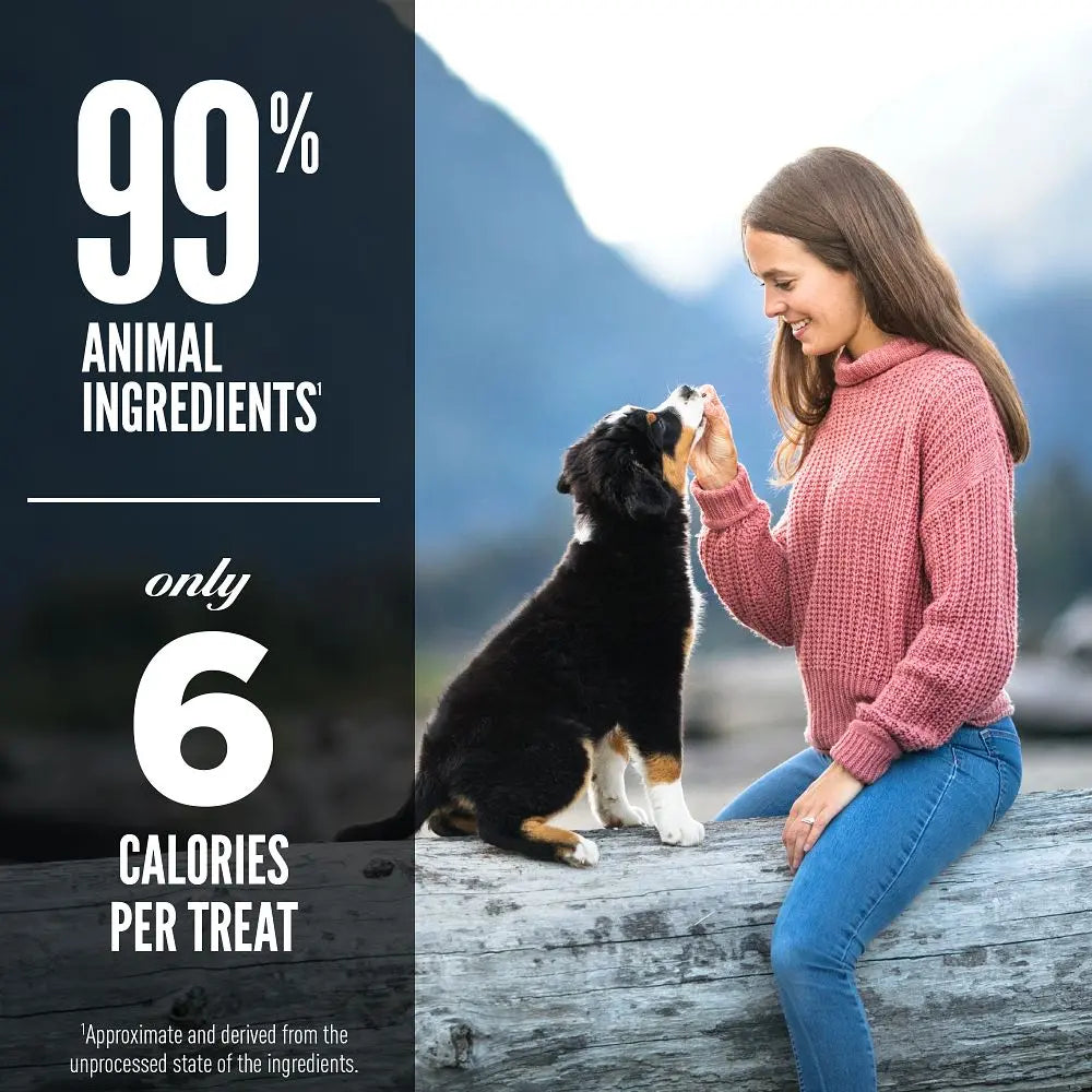 Woman feeding a puppy outdoors, highlighting 99% animal ingredients and 6 calories per treat.