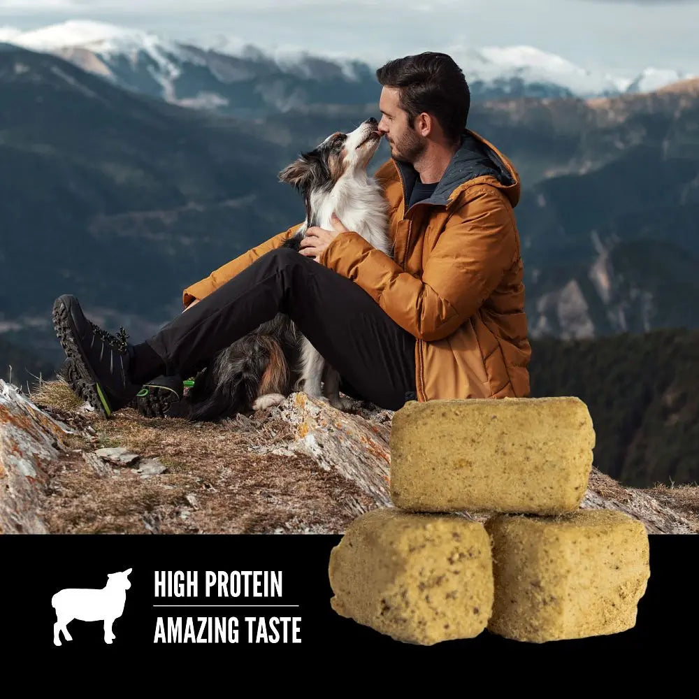 Man enjoying time with a dog outdoors, featuring high-protein pet food blocks.