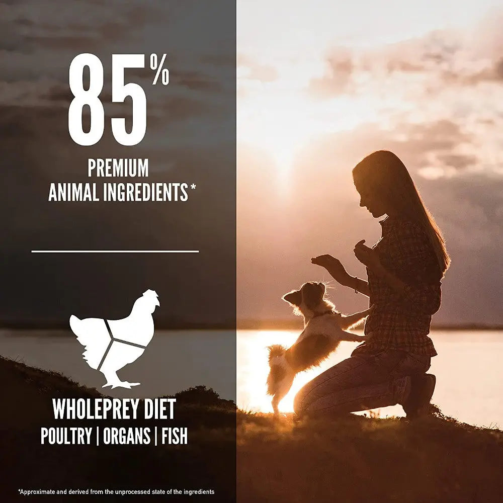 Woman and dog enjoying sunset, highlighting premium animal ingredients in whole prey diet.