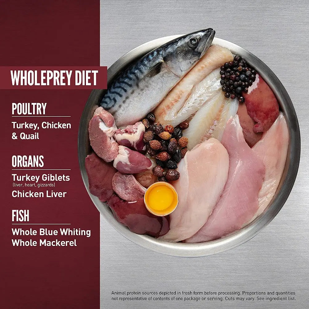 Whole prey diet featuring turkey, chicken, quail, fish, and organ meats in a stainless steel bowl.