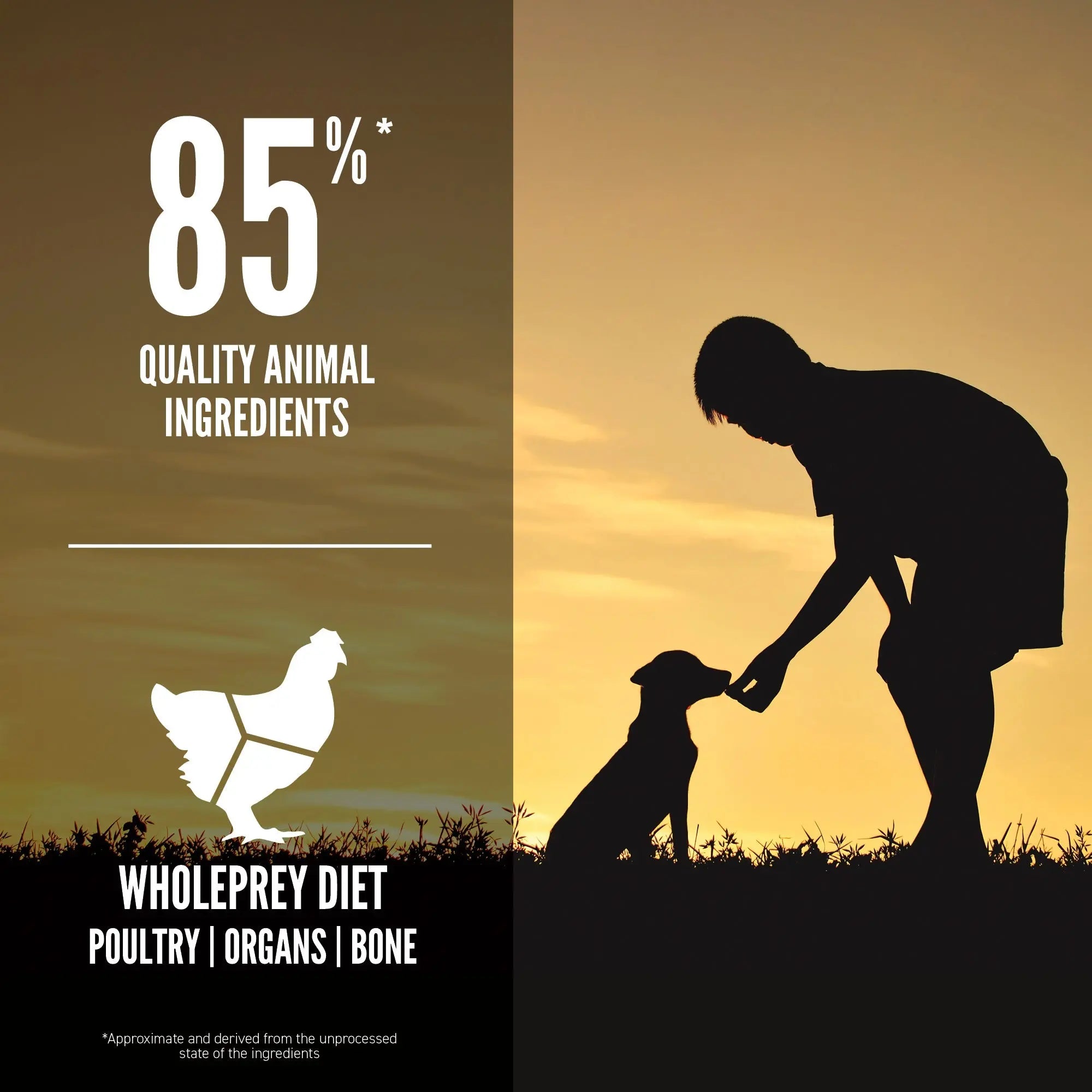 Orijen Small Breed Puppy Food   | Canine & Co