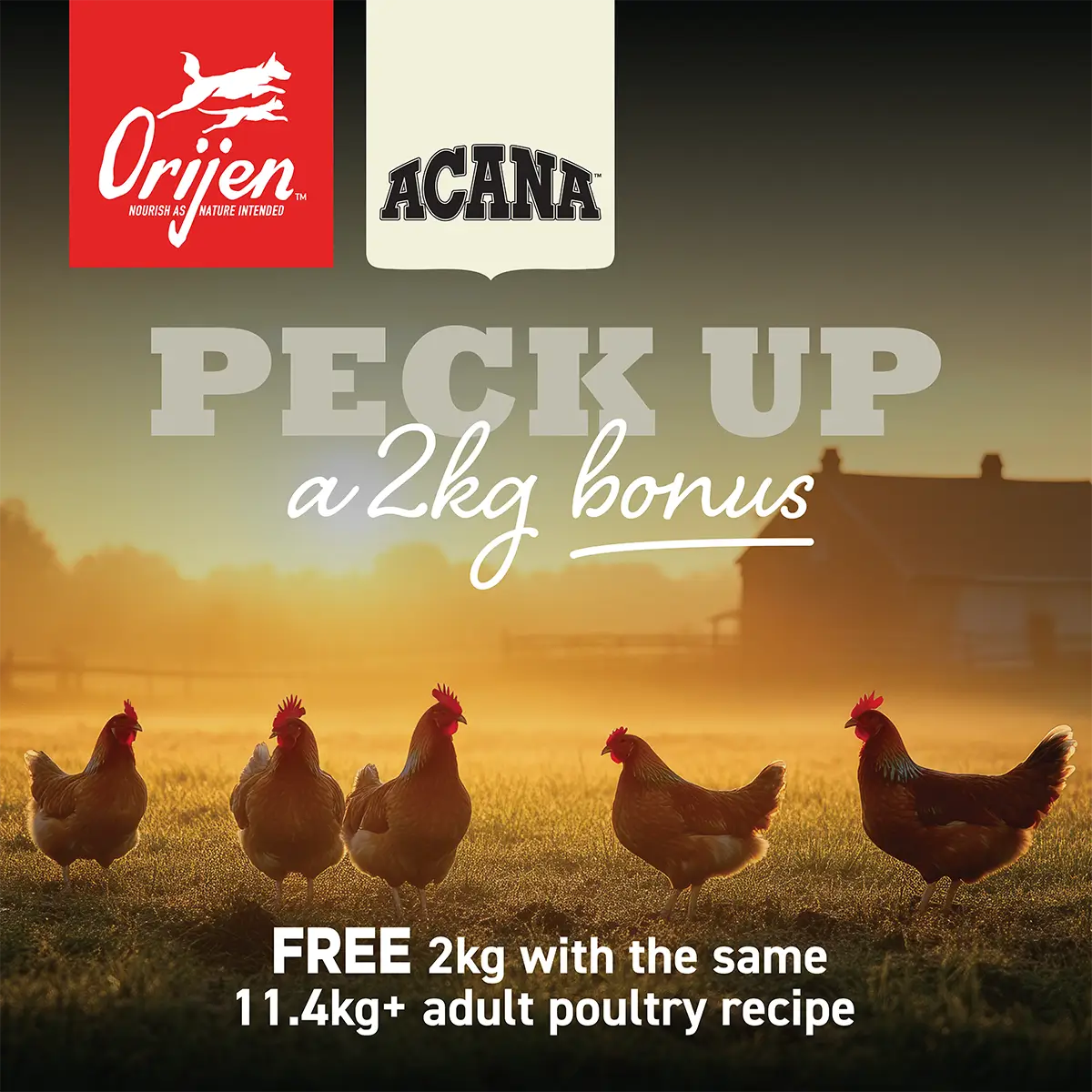 Free 2kg Acana or Orijen