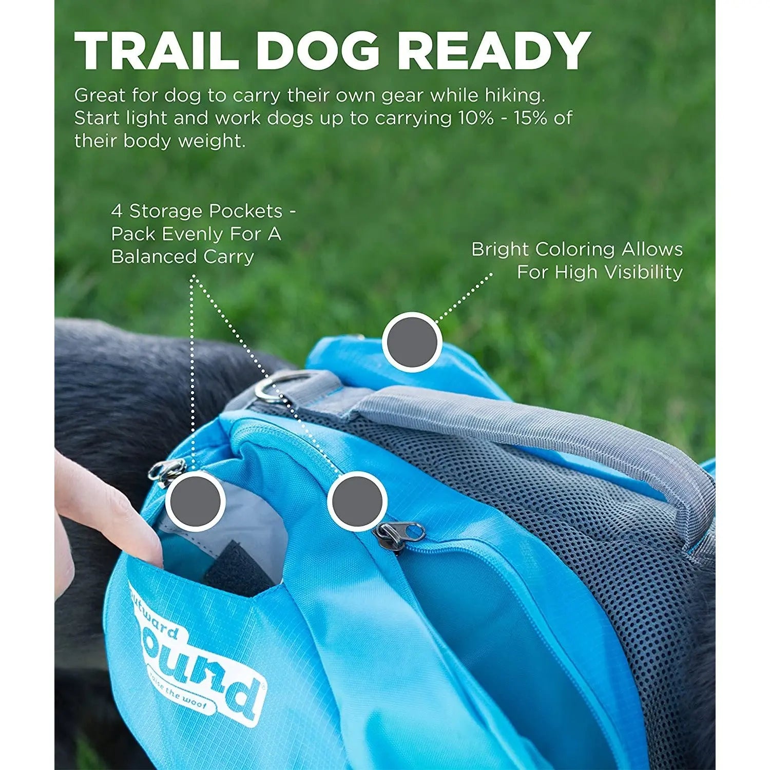 Dog backpack for hiking with storage pockets and bright colors for visibility.