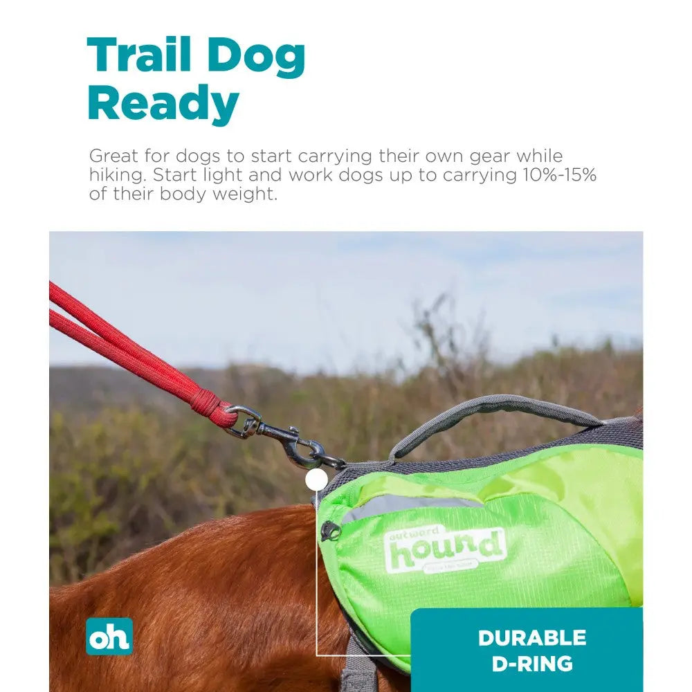 Dog harness with durable D-ring, perfect for hiking and outdoor adventures.