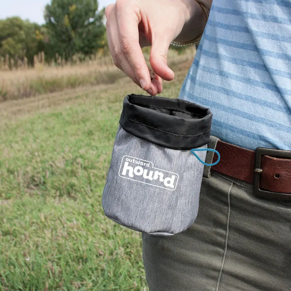 Compact dog treat pouch for easy access during walks and training sessions.