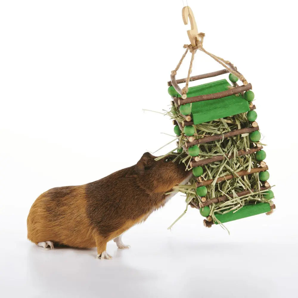 Oxbow Enriched Life - Apple Stick Hay Feeder   | Low Prices | Canine & Co