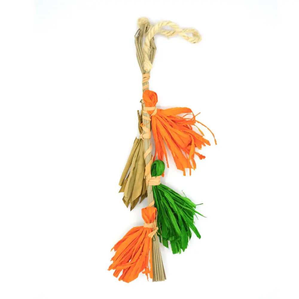 Oxbow Enriched Life - Color Play Dangly   | Canine & Co
