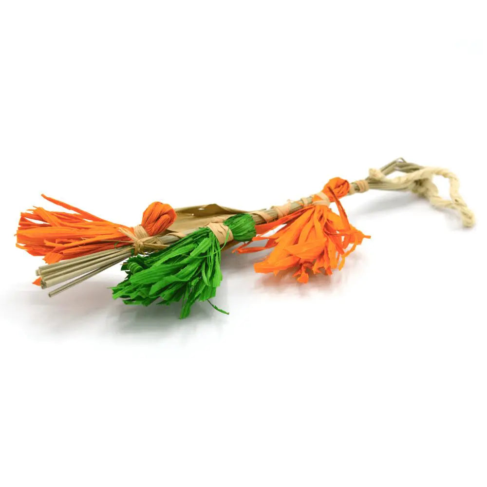 Oxbow Enriched Life - Color Play Dangly   | Canine & Co