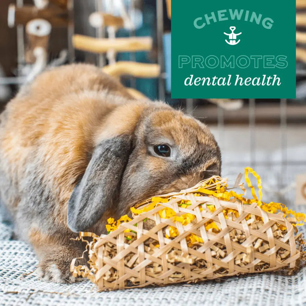 Oxbow Enriched Life - Ox Blocks   | Canine & Co