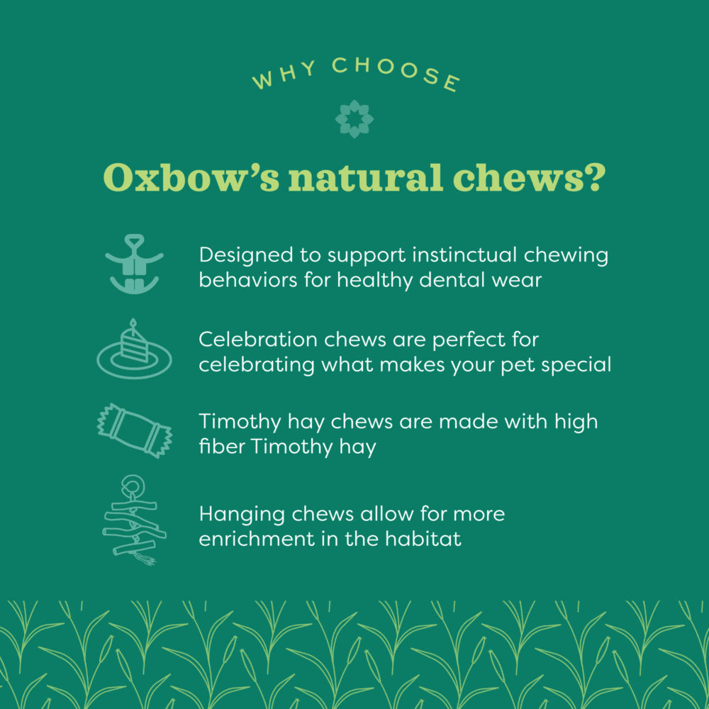 Oxbow Enriched Life - Timothy Star Dish   | Canine & Co