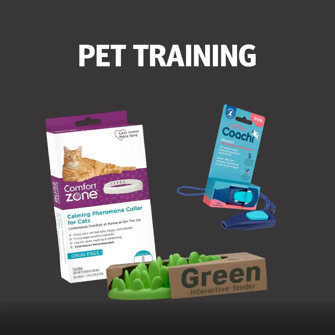 Pet Training