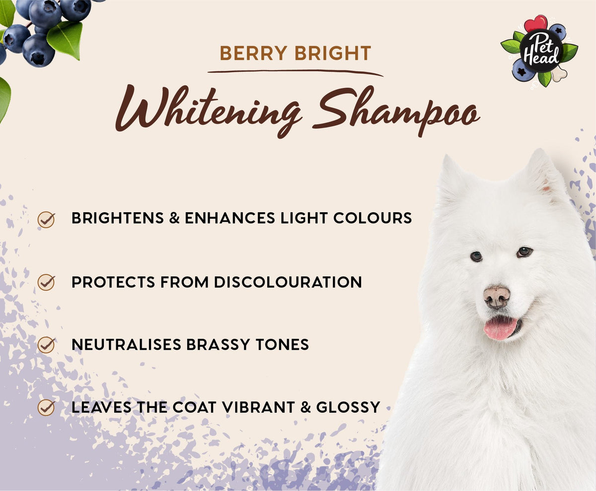 Pet Head Berry Bright Brightening Shampoo For Dogs