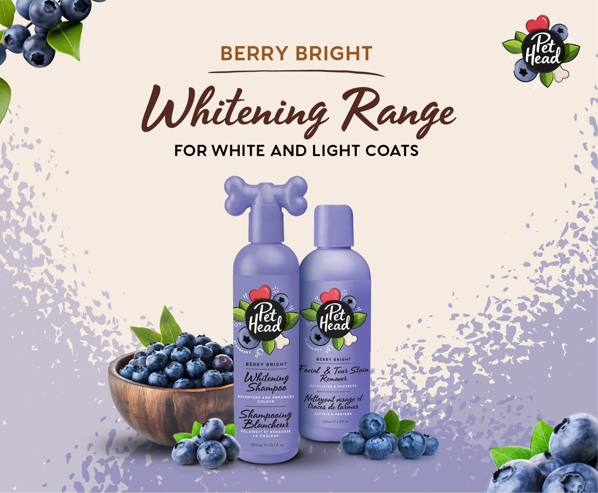 Pet Head Berry Bright Brightening Shampoo For Dogs
