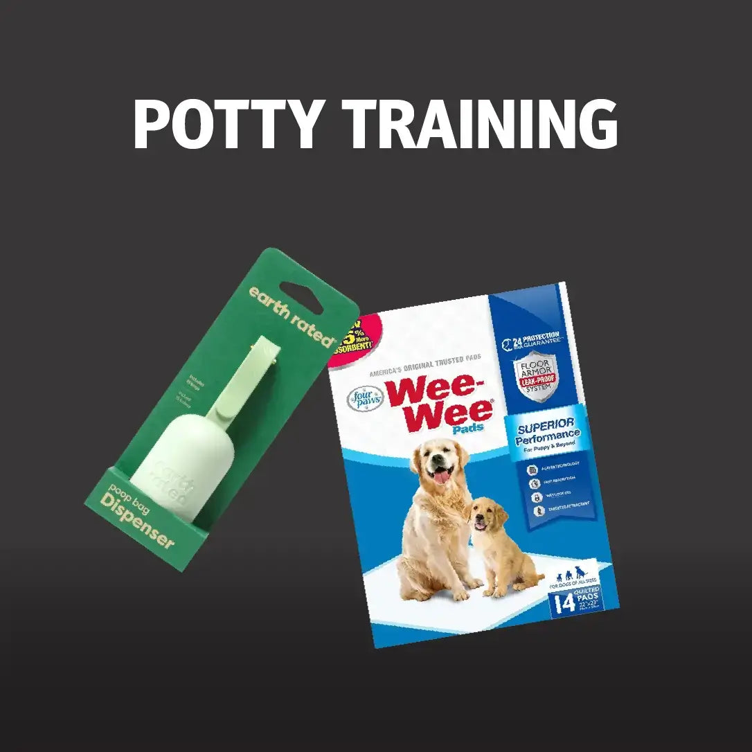 Potty Training