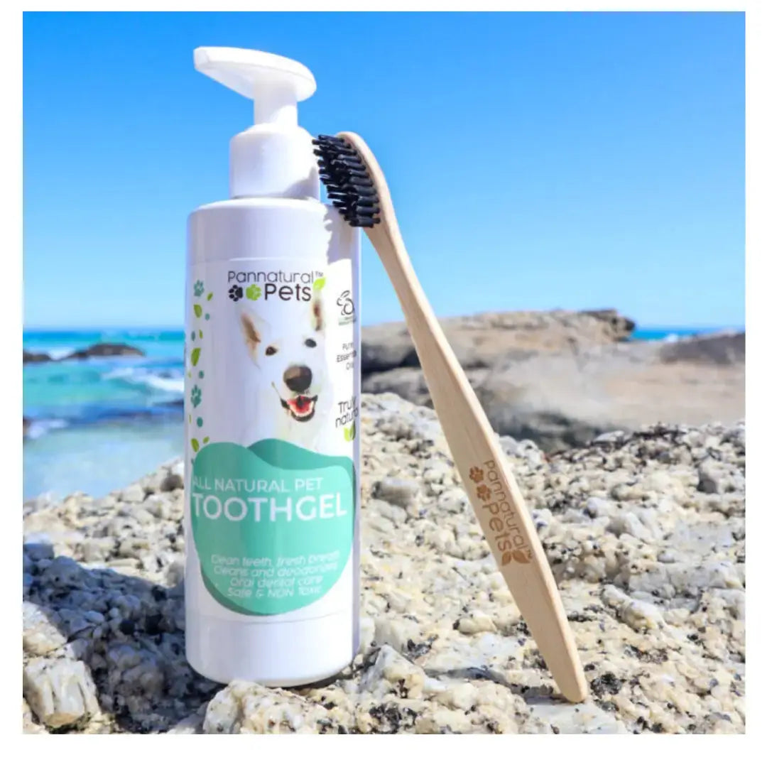 Pannatural Pets Bamboo Pet Toothbrush   | Canine & Co