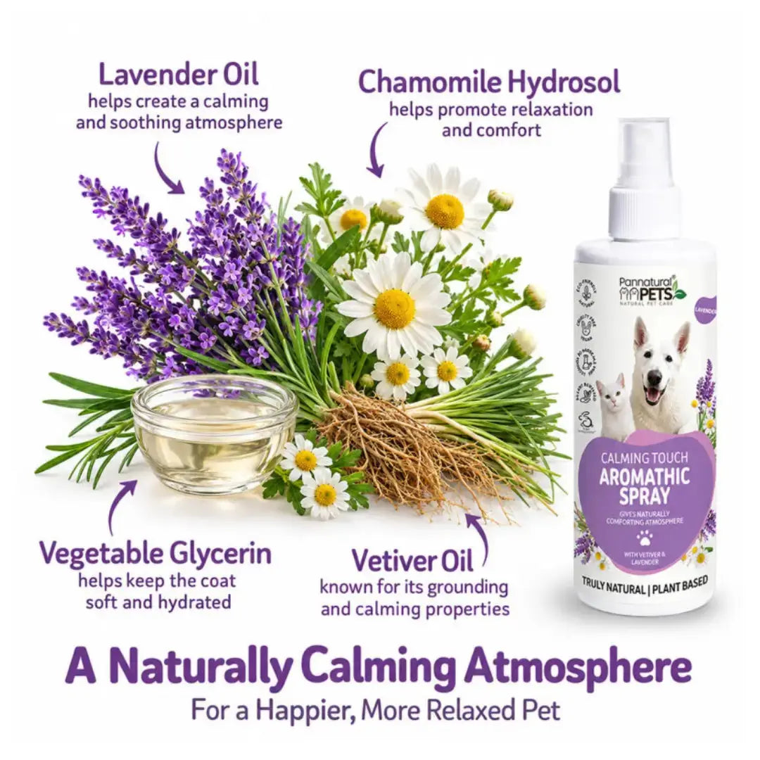 Pannatural Pets Natural Calming Touch Aromatic Spray   | Canine & Co