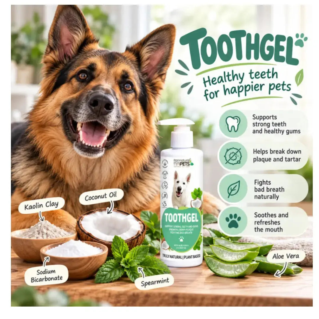 Pannatural Pets Natural Pet Toothpaste   | Canine & Co