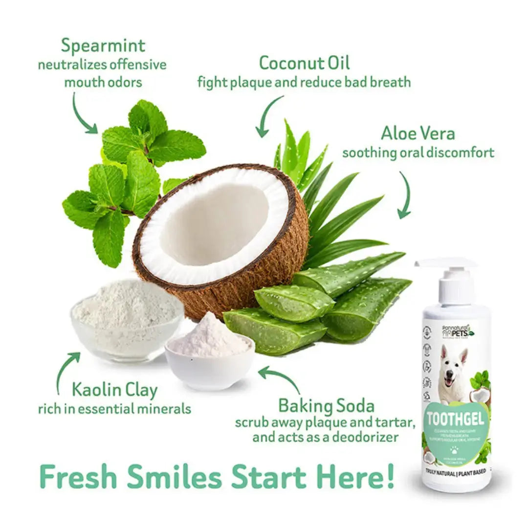 Pannatural Pets Natural Pet Toothpaste   | Canine & Co