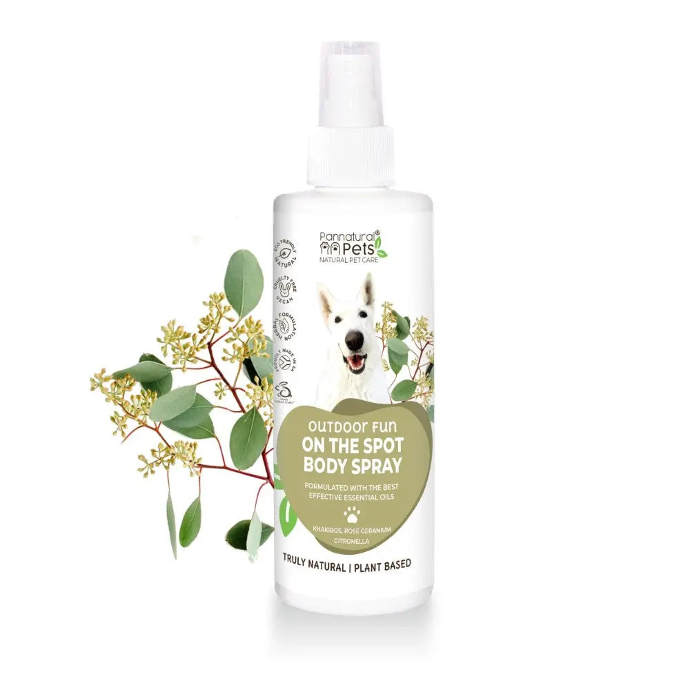Natural body spray for dogs, infused with essential oils for outdoor fun and protection.