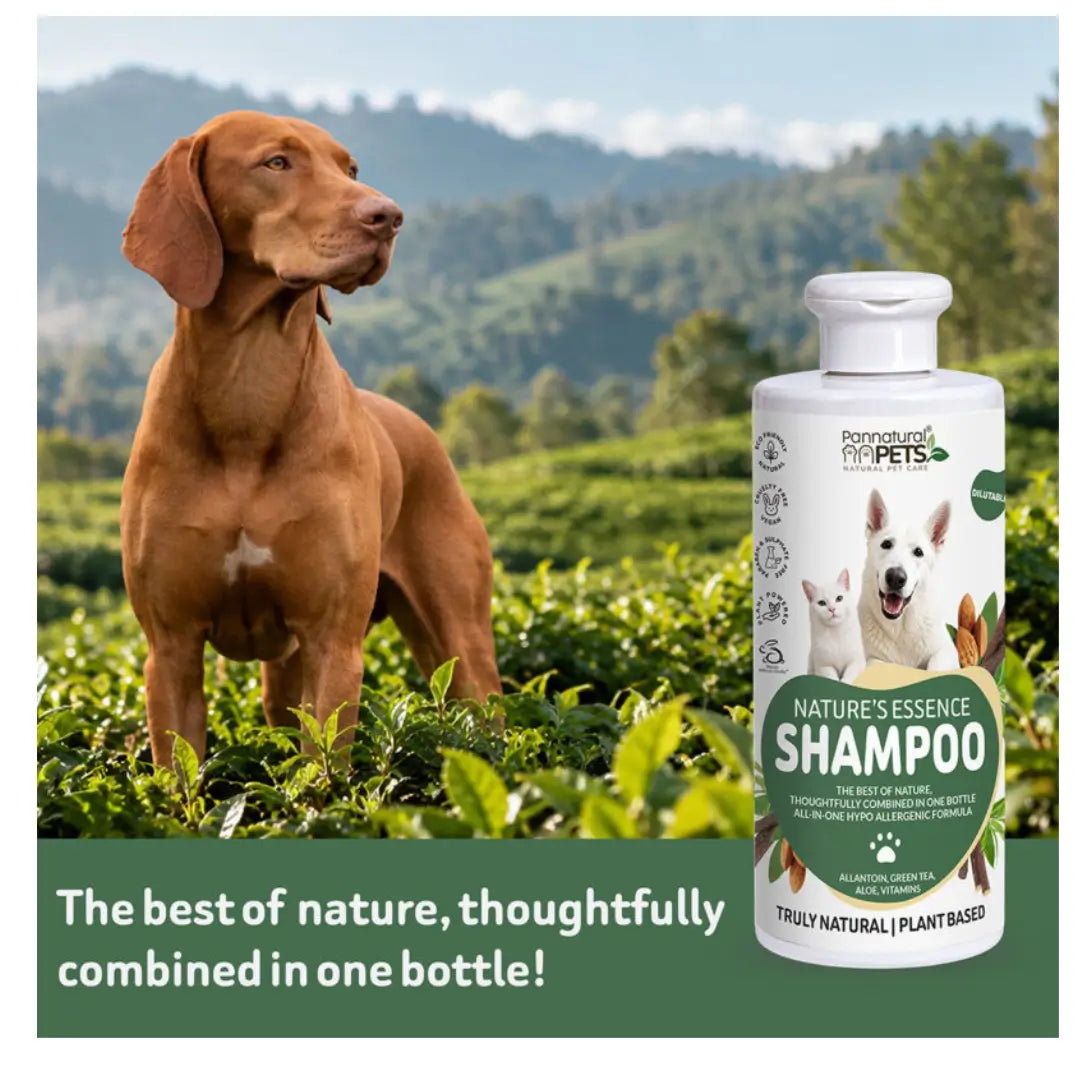 Pannatural Pets Nature's Essence Pet Shampoo