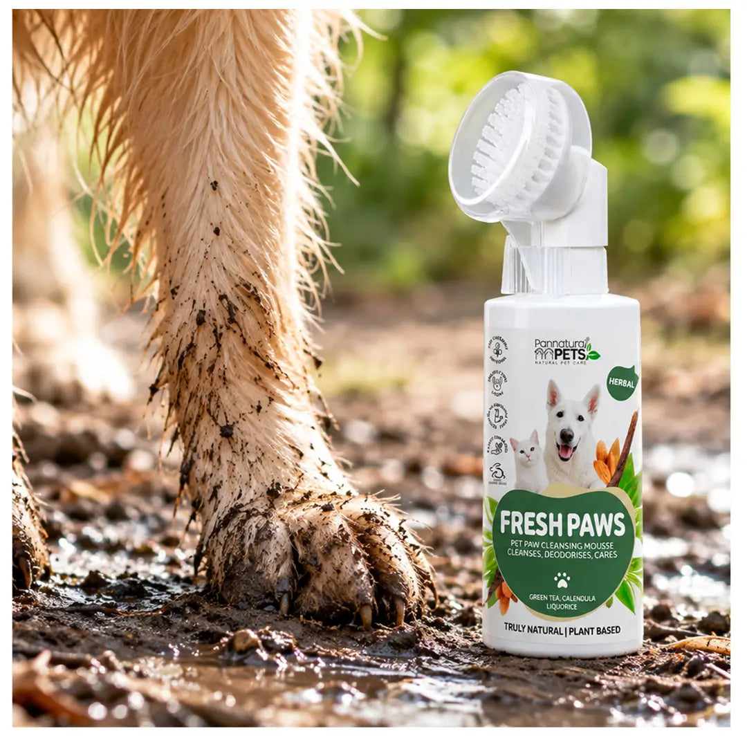 Pannatural Pets Paw Brush Foam Shampoo
