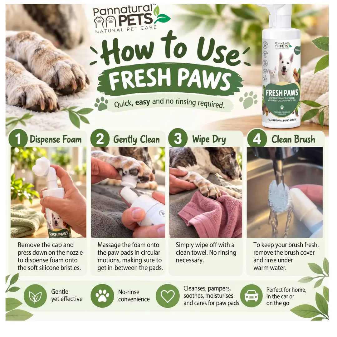 Pannatural Pets Paw Brush Foam Shampoo