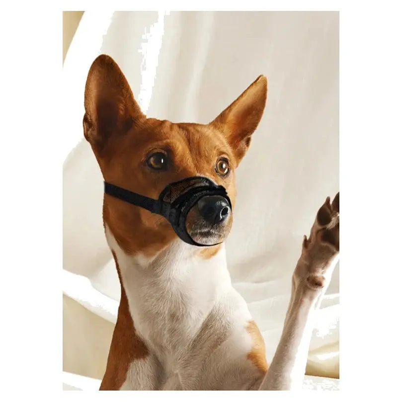 Pawise Adjustable Nylon Dog Muzzle with Net Insert image 5