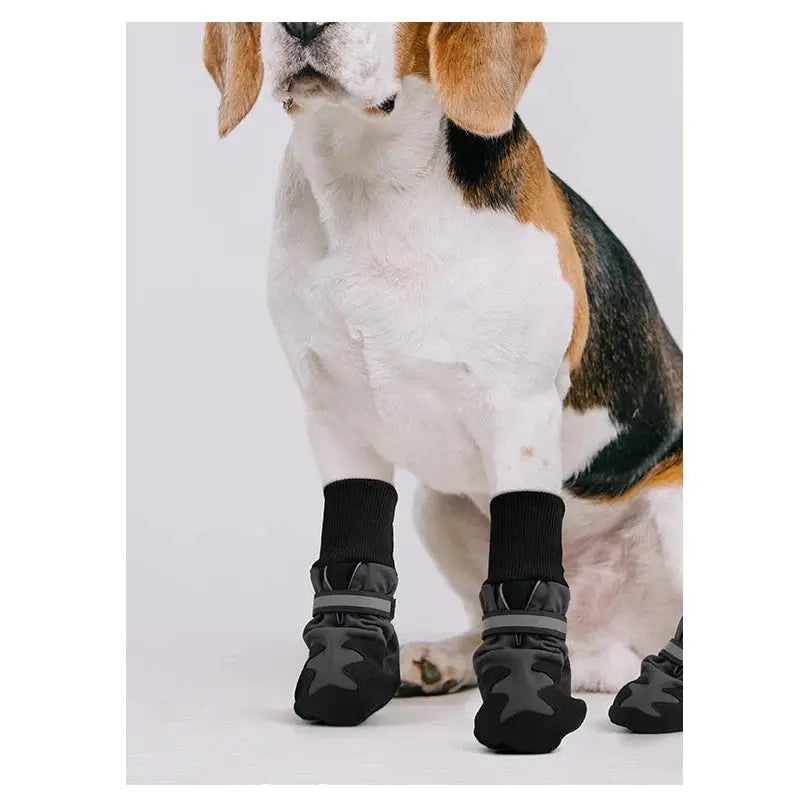 Pawise Doggy Boots (2 Pack) image 4