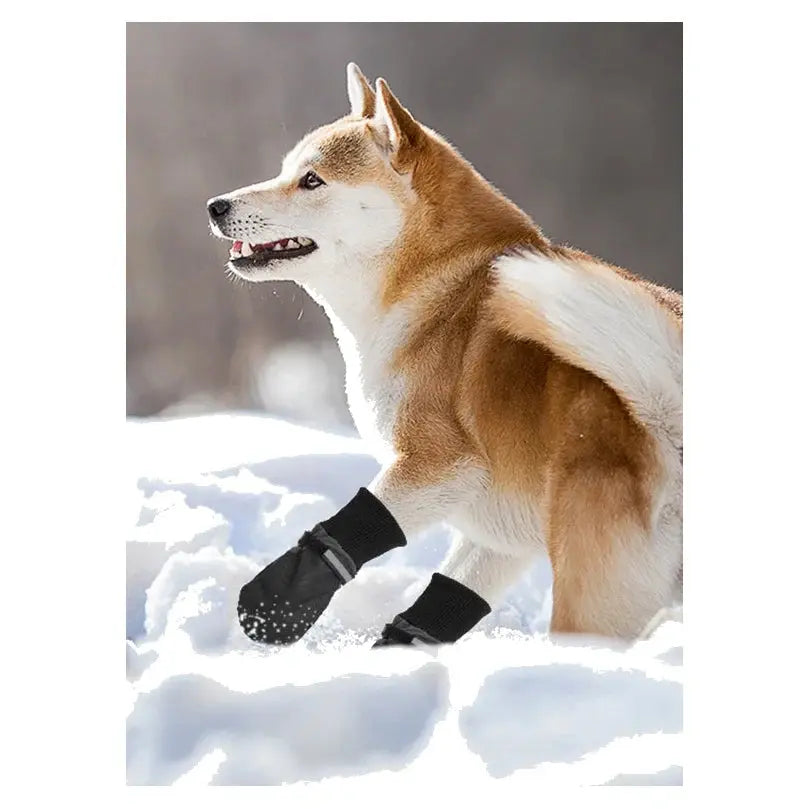 Pawise Doggy Boots (2 Pack) image 5