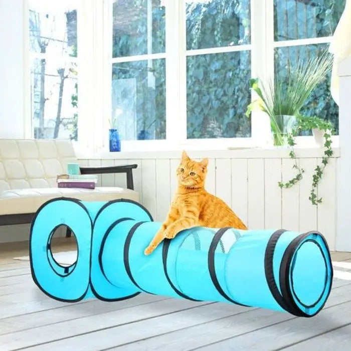 Orange cat playing in a blue tunnel toy in a bright, sunny room.